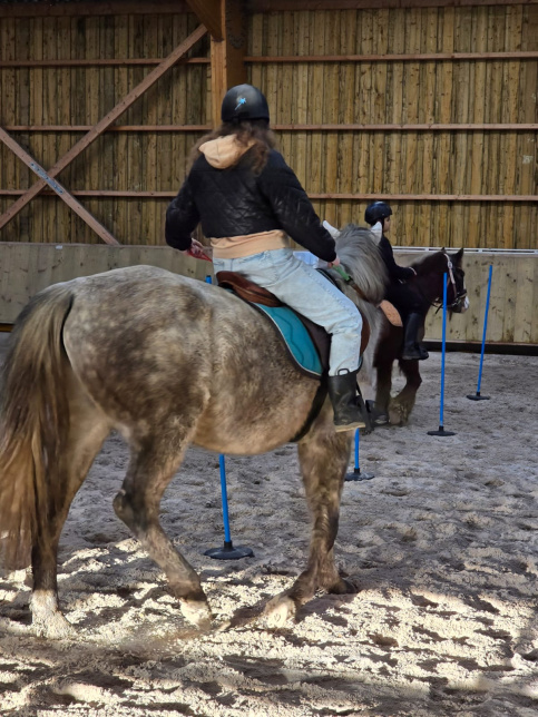 equitation