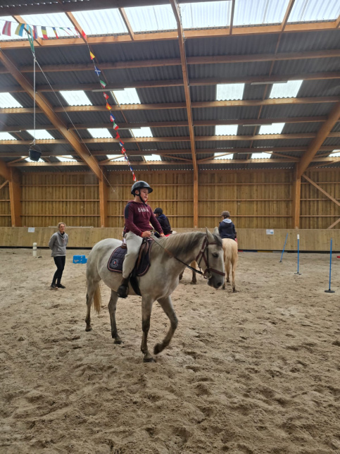 Equit
